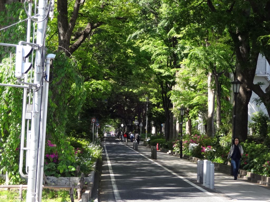 氷川神社の参道