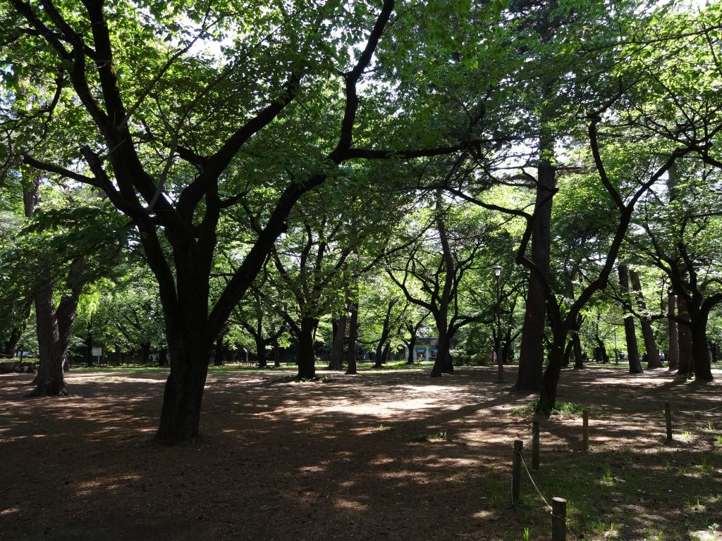 大宮公園