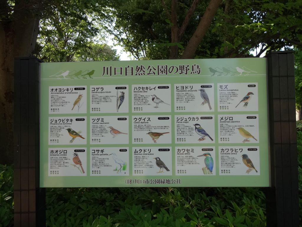 川口自然公園