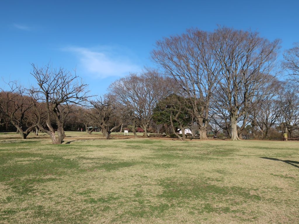 花鳥公園