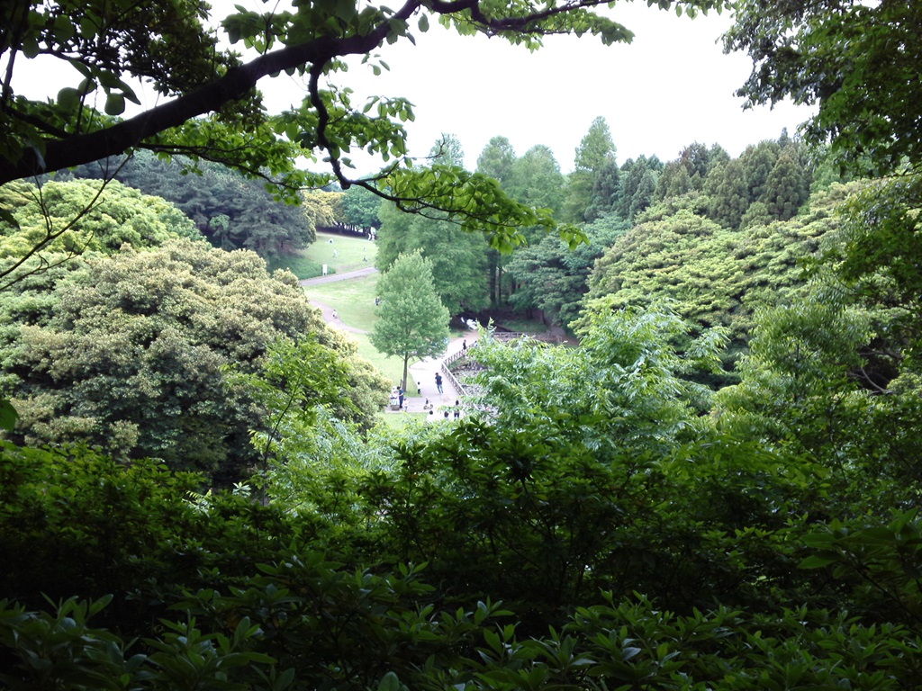 根岸森林公園