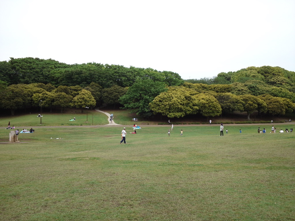 根岸森林公園芝生広場