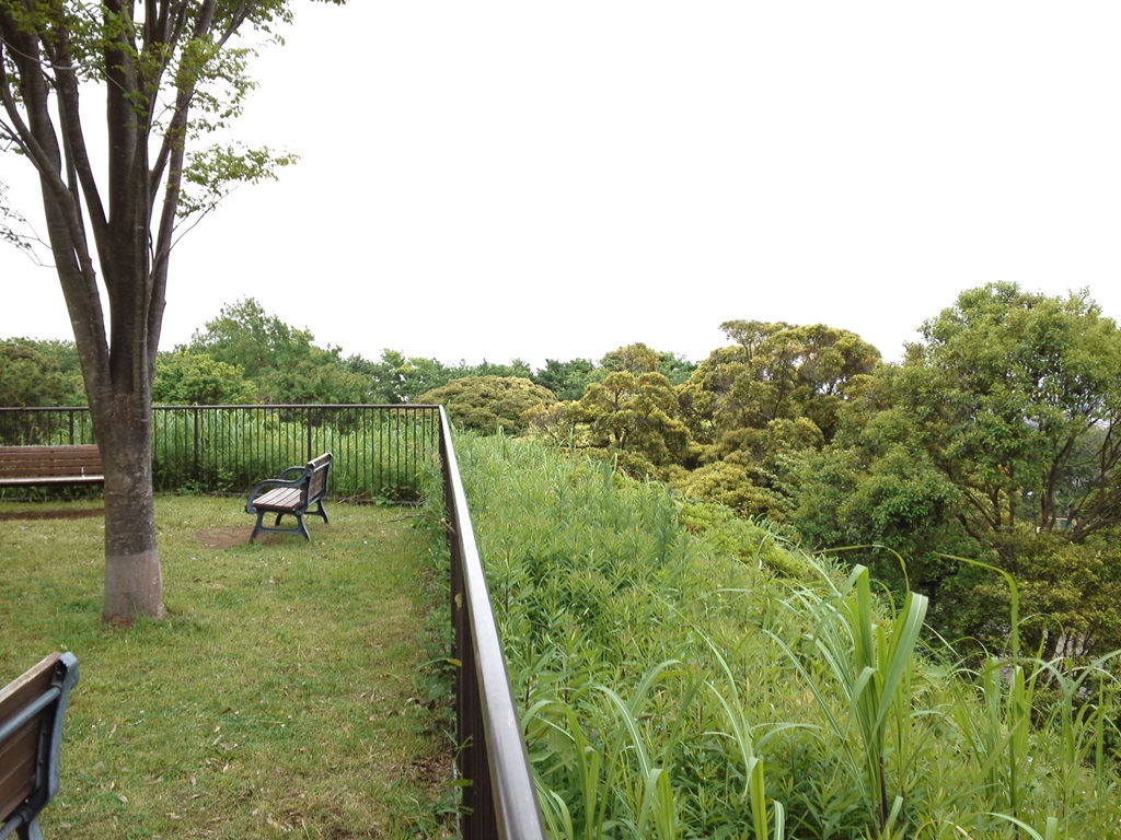 本牧山頂公園