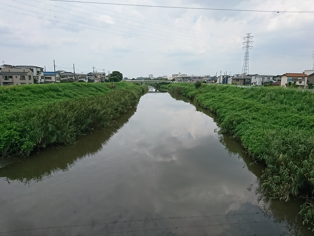 08_芝川（柳根橋）