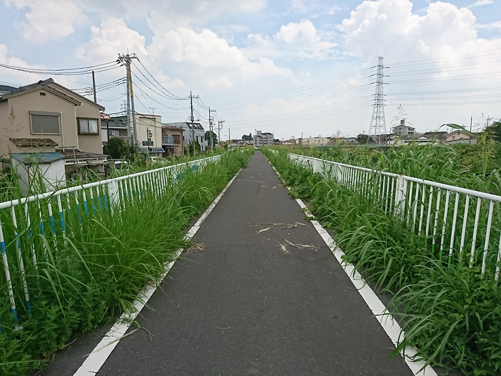 09_芝川サイクリングロード