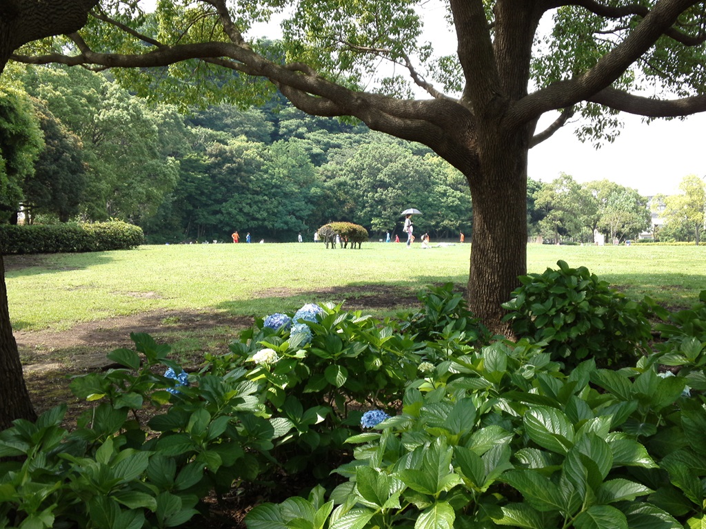 富岡総合公園