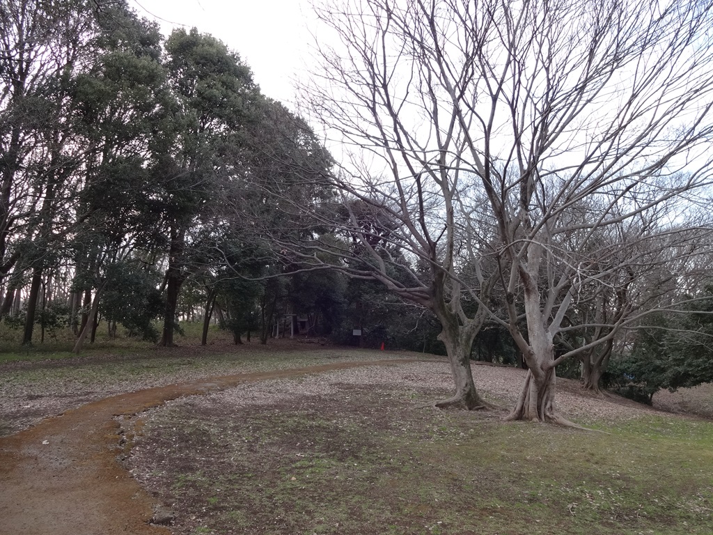 堀之内貝塚公園