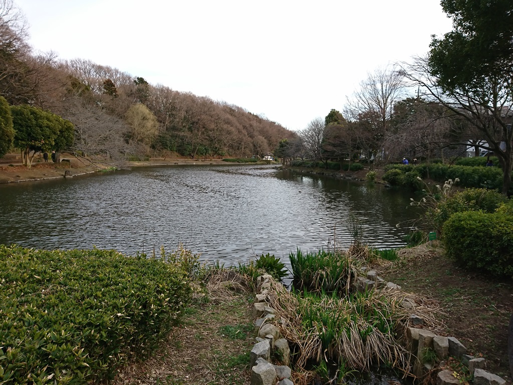 じゅん菜池緑地