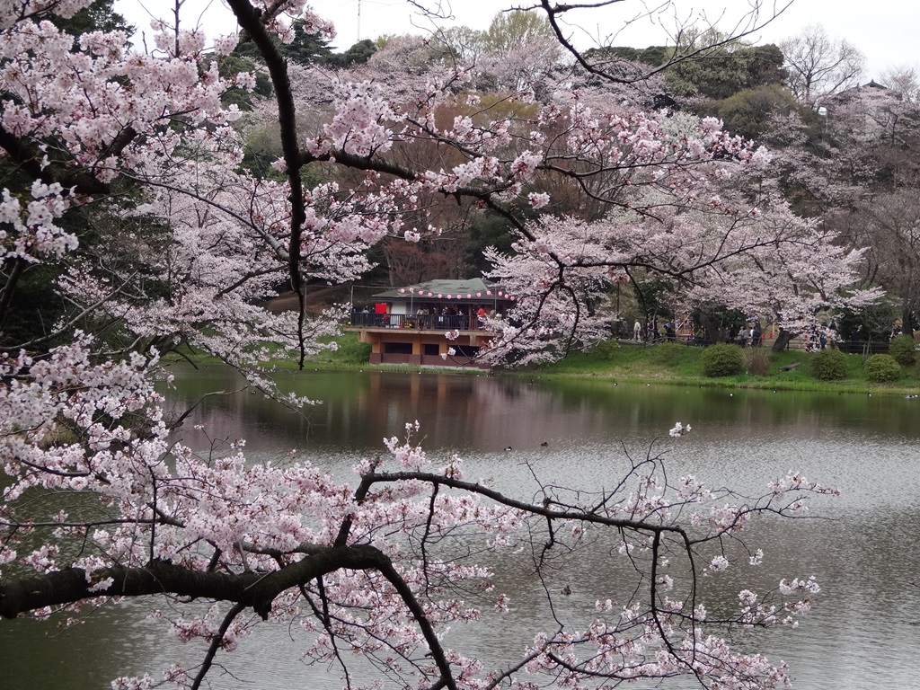 三ツ池公園