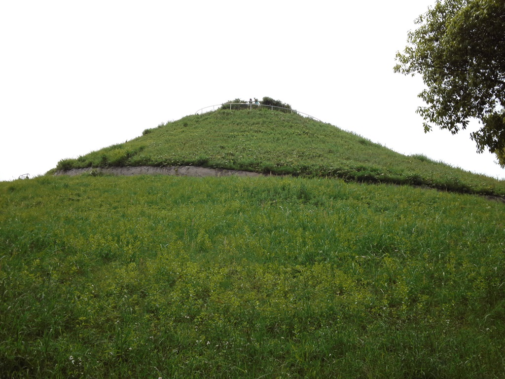 川和富士公園