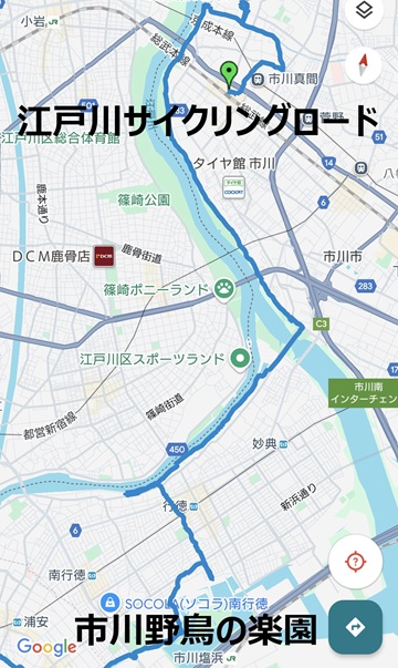 江戸川サイクリングロードto市川野鳥の楽園