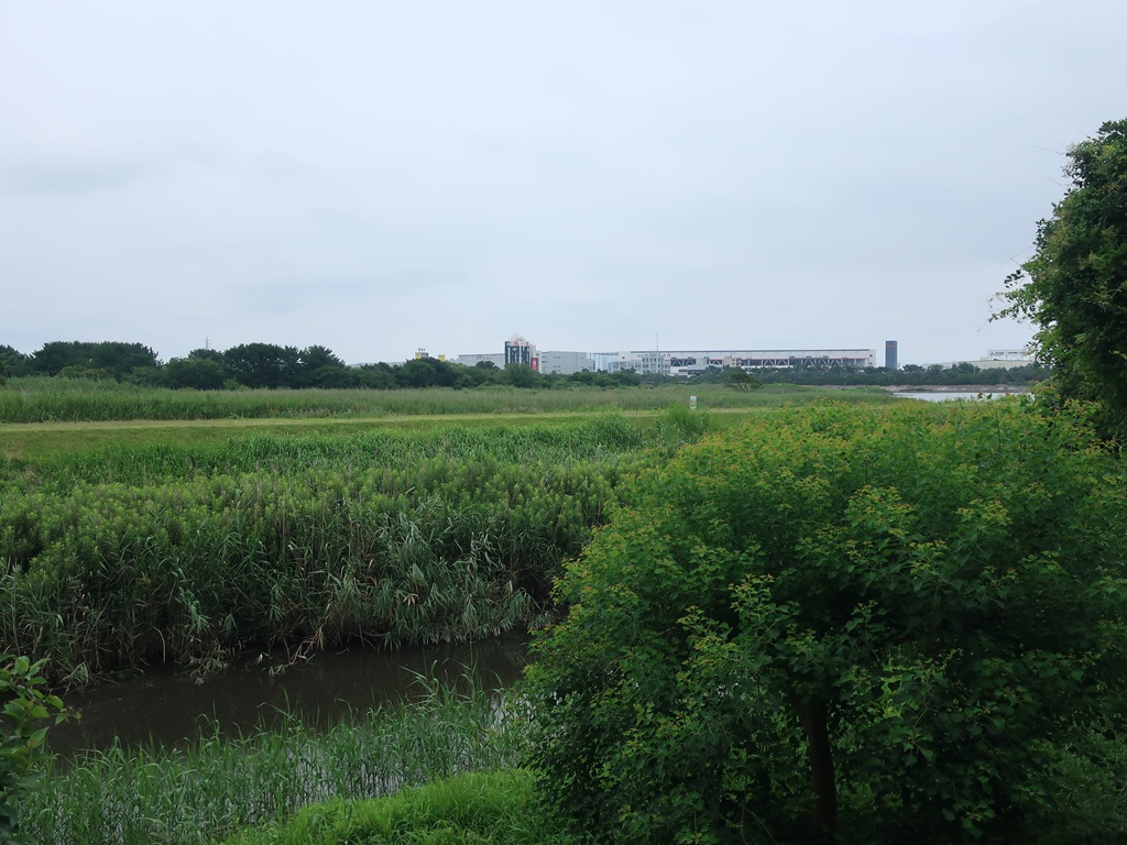 市川野鳥の楽園