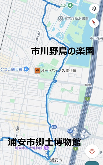 市川野鳥の楽園to浦安市郷土博物館