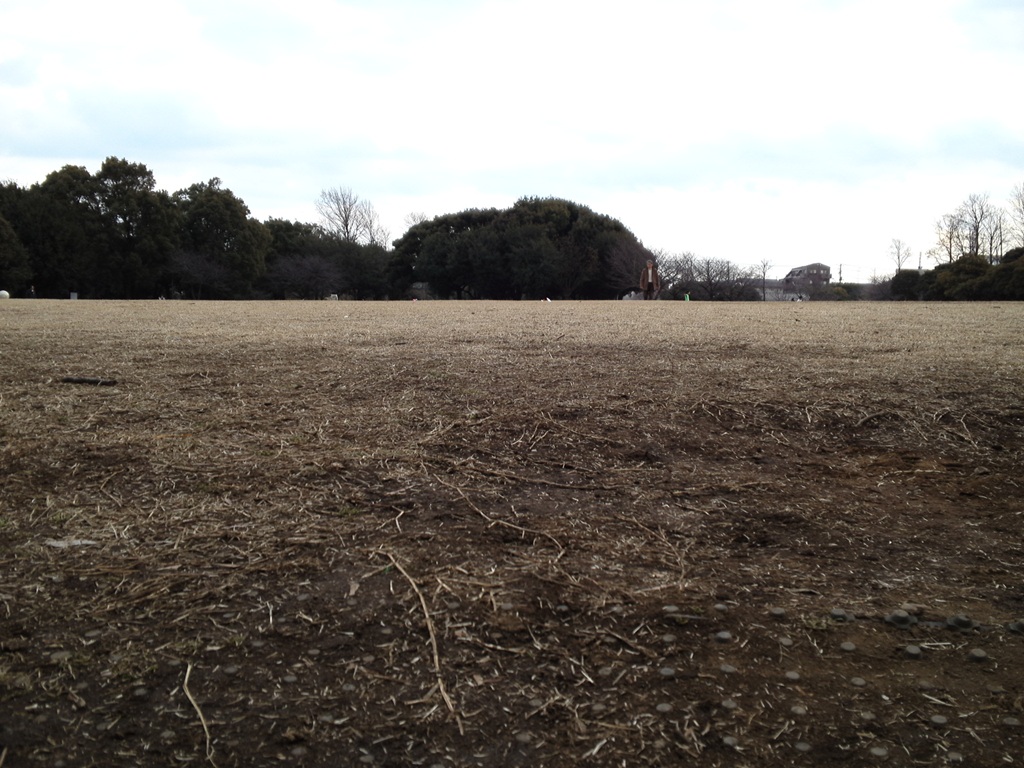 岸根公園