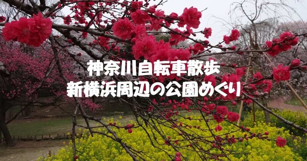 新横浜周辺の公園めぐり