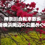 新横浜周辺の公園めぐり