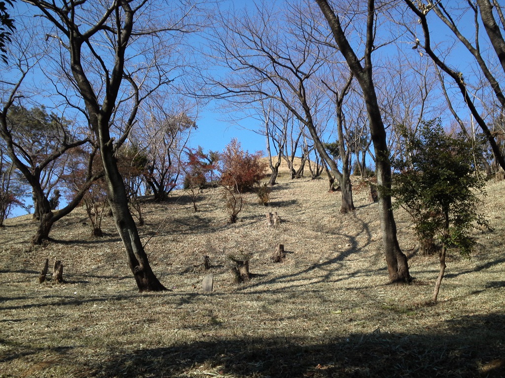山田富士公園