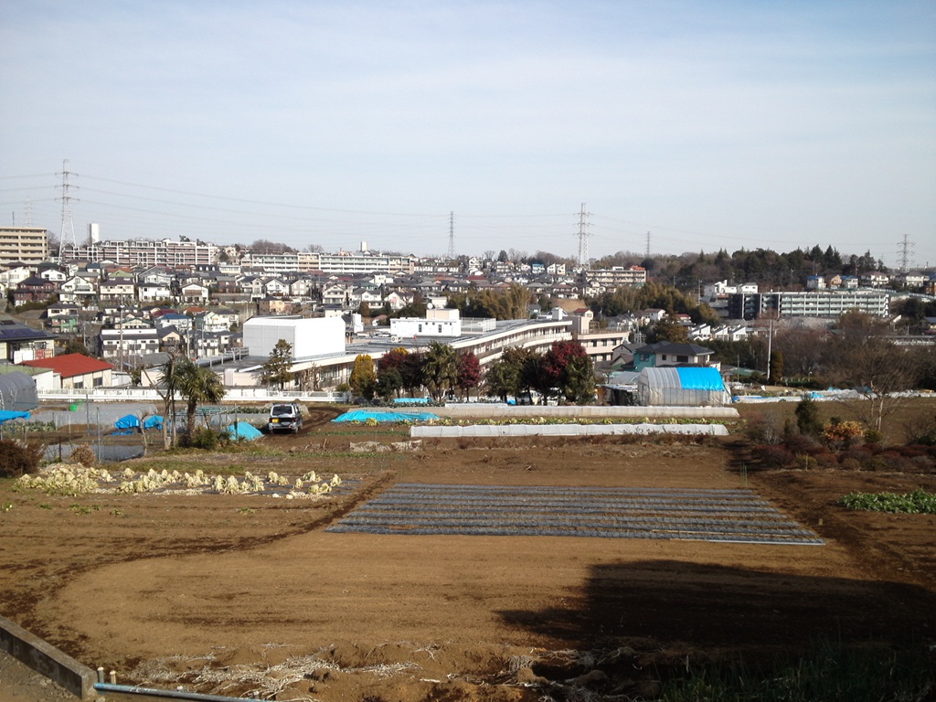 川崎市麻生区の高台
