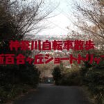 新百合ヶ丘ショートトリップ